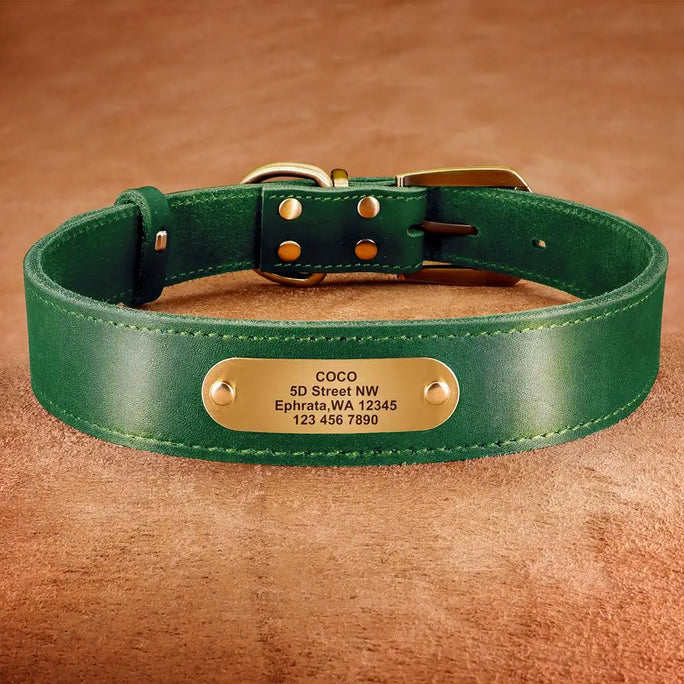 Personalized Leather Dog Collar