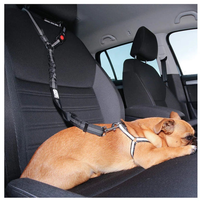 Two-in-One Dog Harness & Leash